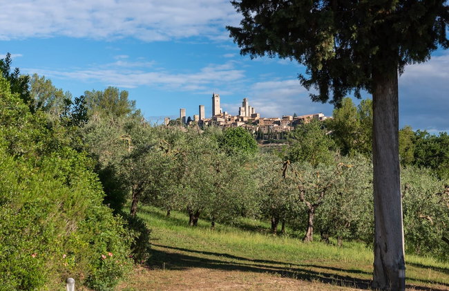 Tenuta Guardastelle - Photo 44