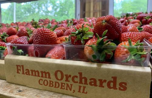 Modern 1BR Cabin w Hot Tub Near Carbondale - Foto 30