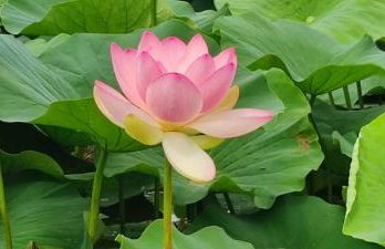 A Casa di Bruna - Foto 67