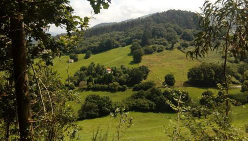 CASA DE CAMPO LAS ROZAS - Foto 4