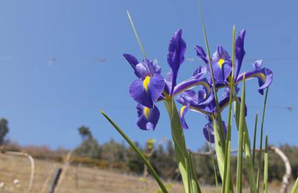 Casa da Quinta do Porto - Foto 22