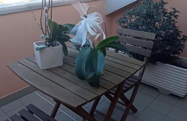 Terrazza M & G - Photo 41