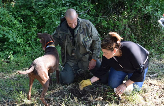 Borgo Divino - Foto 50