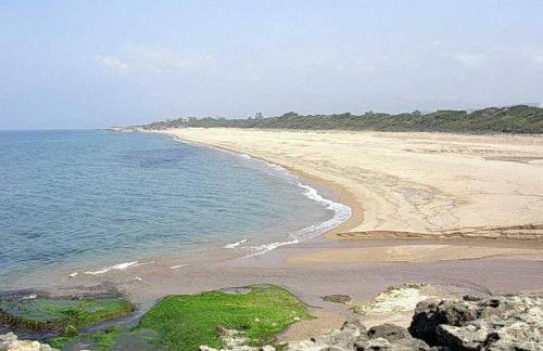 Terpsichore Apartments - Foto 32