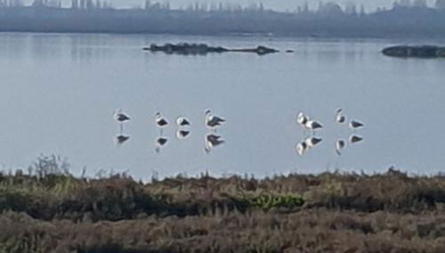 La DOGARESSA - Foto 2