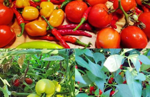 Stylish King Bed, 2BDRM, 1 Mile to DTWN, Game Room - Foto 22