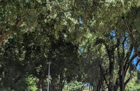 La casa di Lino - Foto 36