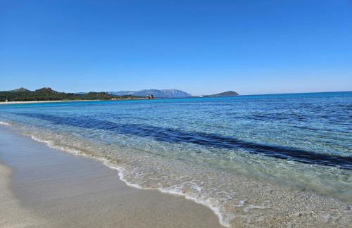 Sa Mesaluna Naturhouse - Foto 6