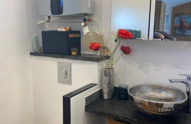 Paris-Zénith-bienvenue-terrasse-Netflix - Foto 21