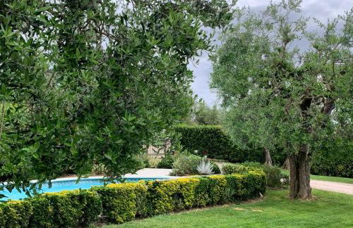 Locazione turistica Casa olivo - Foto 46