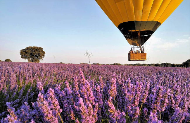 Paseo en globo por los campos de lavanda de Brihuega - Foto 2