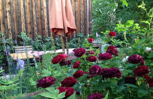 Landloft Haus Probst - Foto 14