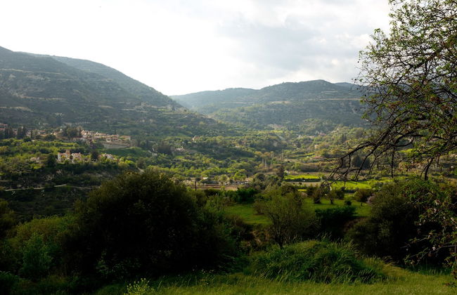 The Old Olive Mill - Foto 31