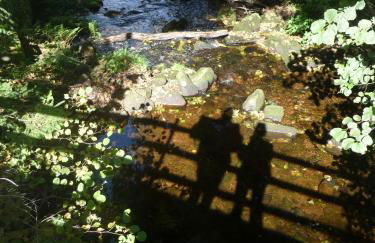 Ferienwohnung Böllsteiner Höhe - Foto 10