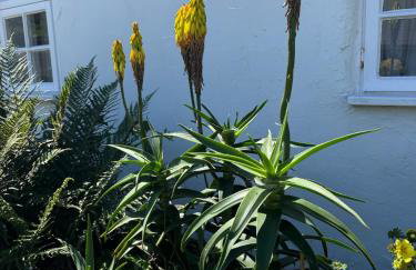 Titmouse at Trenale Court Cottages - Foto 17