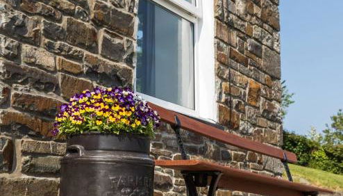 Ffyllon Fawr - Foto 2