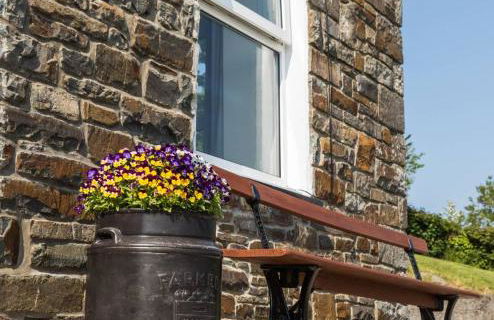 Ffyllon Fawr - Foto 2