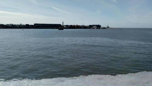 Coastal Garden Lodge - Foto 5