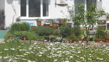 Ferienwohnung Casa MIA - Foto 2, Garden