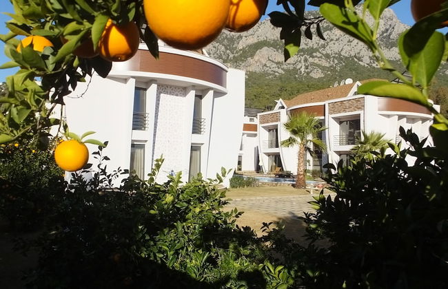 Han-De Homes - Foto 39