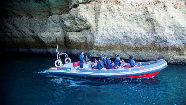 Procurando os golfinhos