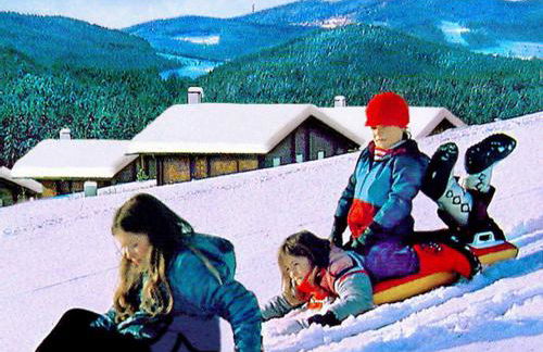 BayerischerWald-Ferien-Blockhaus-Panoramablick-Grafenau Haus im Wald-Vogelthenne 19, fast Alleinlage-ILZtal-Blick nähe Rothauer, Saldenburger, Ebenreuther und Eginger See im Dreiburgenland, unweit der Dreiflüße-Stadt PASSAU an der Donau Inn und ILZ - Foto 28