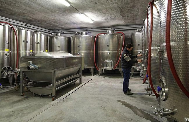 Agriturismo Tonutti - Foto 19