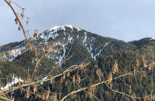 Landhaus Trinis - Kleine Kaffee Tee Theke mit Kühlschrank - Parkplatz - Foto 3