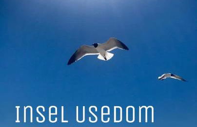 Ferienwohnung mit Terrasse - Insel Usedom - Foto 35