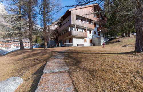 Petit Cirsio - Foto 26