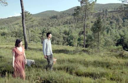 Natura Natura - Foto 57