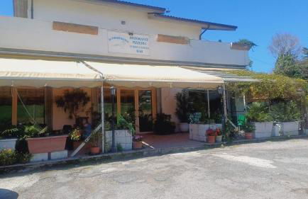 pavone bianco - Foto 15