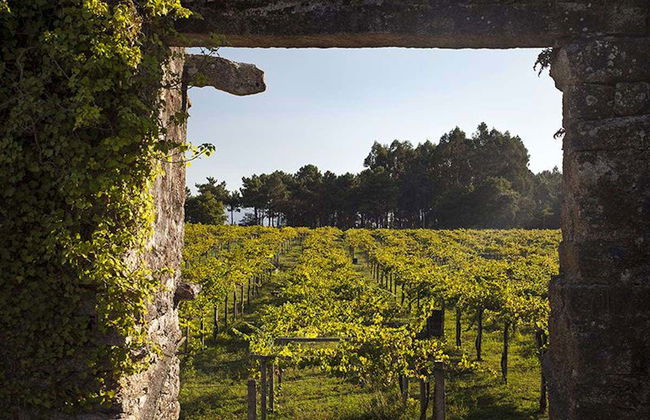 Visite de la cave Corisca - Photo 6