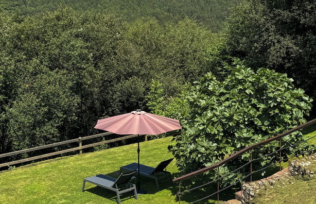 Apartamentos Corona - Foto 15