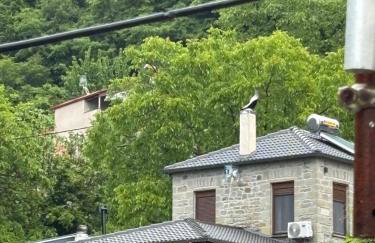 Stonehouse Karidis - Foto 6