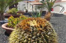 Tijoco Varadero Meerblick und Pool - Foto 15