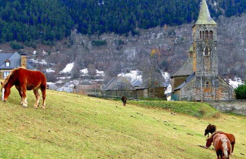 Apartamentos Aran - Foto 55