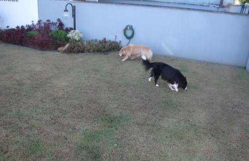 RCM Vilas - Casa Confortável 02 - Foto 26