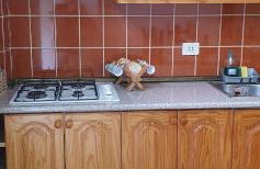 Casa Rural EL PUENTE - Foto 18