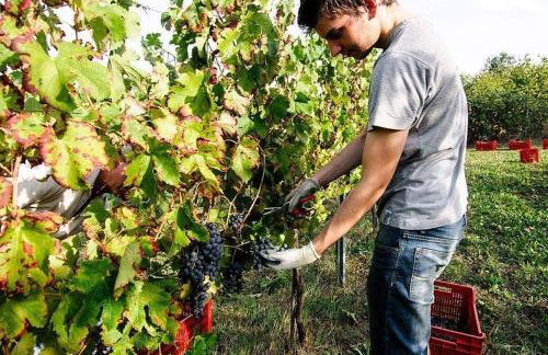 Agriturismo Podere Prasiano - Photo 37