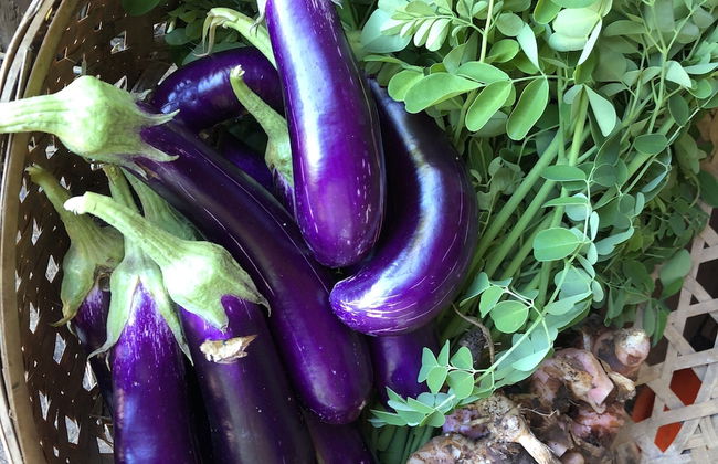 Bloo Lagoon Eco Village - Photo 74