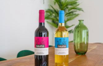 Villa Tropical with jacuzzi and private swimming pool - Foto 5