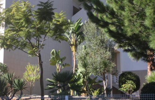 Albufeira Lovely new Apartment W/ Pool - Foto 41