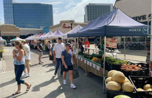 Amazing Location - Walk Across To North Hills - Foto 18