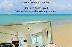 Super Deauville appartement 2 pièces cosy proche plage plein sud - Foto 1