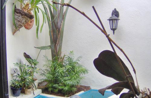 Kleines Einzelzimmer mit Meerblick - Foto 20