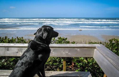 Ocean Escape - Foto 4