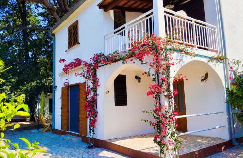 Holiday house Pinus Pinea - Foto 1