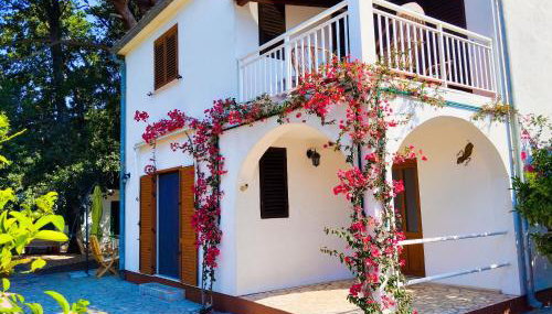 Holiday house Pinus Pinea - Foto 1