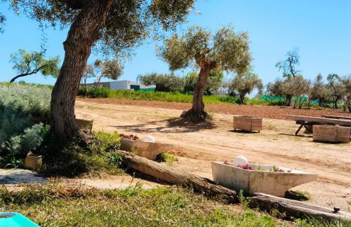 Casa rural Cerro Campón - Foto 12